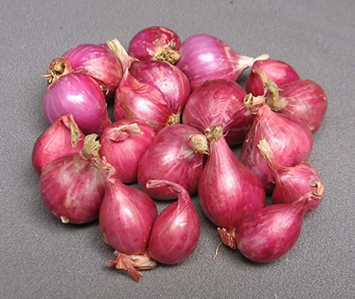 giai-ma-giac-mo-thay-cu-hanh-1 Mơ thấy hành nên đánh con gì